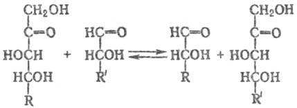 https://www.pora.ru/image/encyclopedia/5/2/4/14524.jpeg