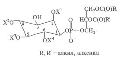 https://www.pora.ru/image/encyclopedia/5/3/7/15537.jpeg