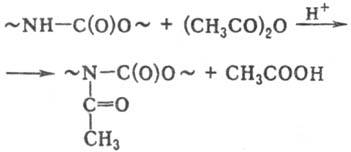 https://www.pora.ru/image/encyclopedia/5/4/0/11540.jpeg