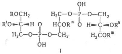 https://www.pora.ru/image/encyclopedia/5/4/1/6541.jpeg