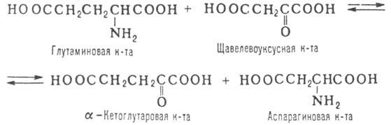 https://www.pora.ru/image/encyclopedia/5/4/4/10544.jpeg