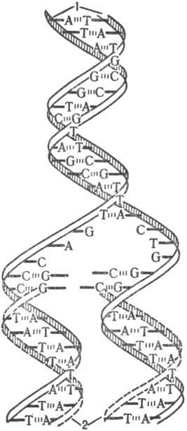 https://www.pora.ru/image/encyclopedia/5/4/9/12549.jpeg