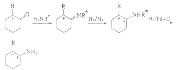 https://www.pora.ru/image/encyclopedia/5/5/1/2551.jpeg