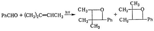 https://www.pora.ru/image/encyclopedia/5/5/1/9551.jpeg