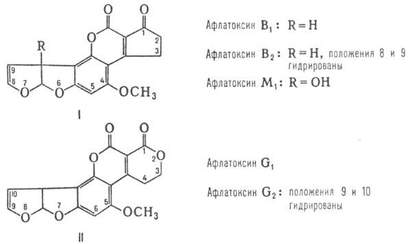 https://www.pora.ru/image/encyclopedia/5/5/5/8555.jpeg