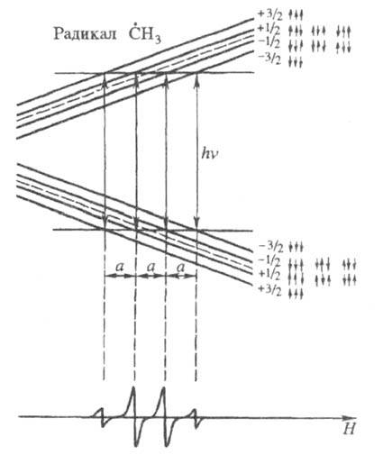 https://www.pora.ru/image/encyclopedia/5/5/6/18556.jpeg