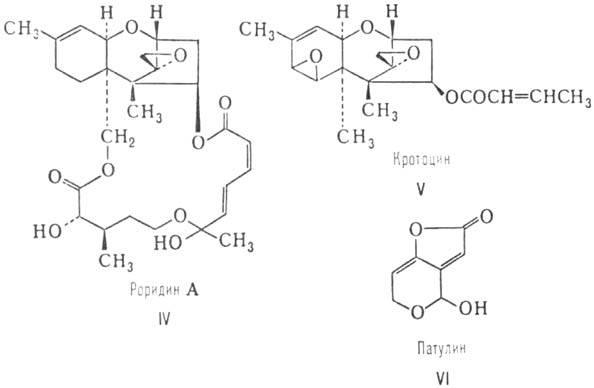 https://www.pora.ru/image/encyclopedia/5/5/7/8557.jpeg