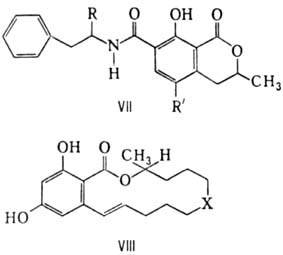 https://www.pora.ru/image/encyclopedia/5/5/8/8558.jpeg