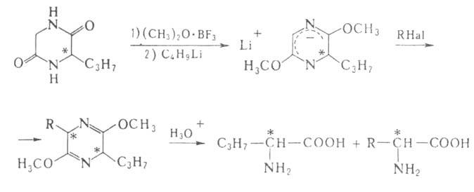 https://www.pora.ru/image/encyclopedia/5/5/9/2559.jpeg