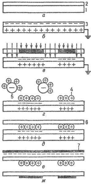 https://www.pora.ru/image/encyclopedia/5/6/1/12561.jpeg