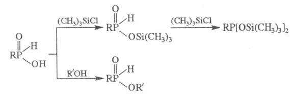 https://www.pora.ru/image/encyclopedia/5/7/4/15574.jpeg