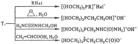 https://www.pora.ru/image/encyclopedia/5/7/8/14578.jpeg