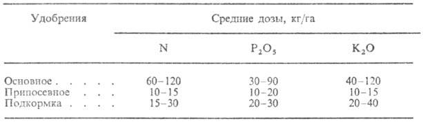 https://www.pora.ru/image/encyclopedia/5/7/8/8578.jpeg