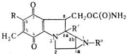 https://www.pora.ru/image/encyclopedia/5/8/5/8585.jpeg