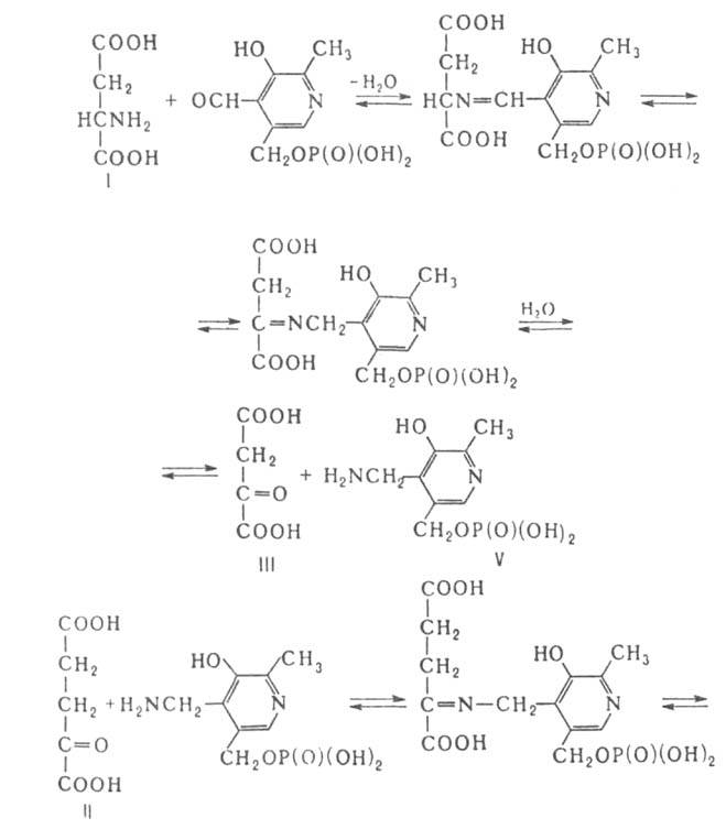 https://www.pora.ru/image/encyclopedia/5/9/1/2591.jpeg