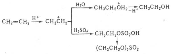 https://www.pora.ru/image/encyclopedia/5/9/1/6591.jpeg