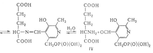 https://www.pora.ru/image/encyclopedia/5/9/2/2592.jpeg