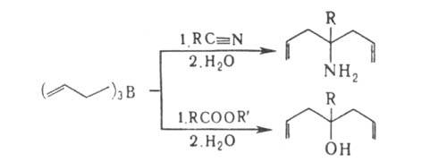 https://www.pora.ru/image/encyclopedia/5/9/5/1595.jpeg