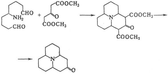 https://www.pora.ru/image/encyclopedia/6/0/8/12608.jpeg