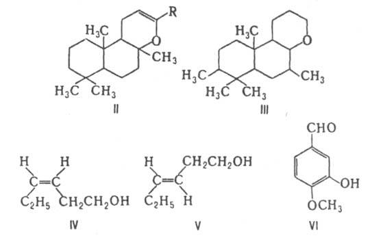 https://www.pora.ru/image/encyclopedia/6/1/3/6613.jpeg