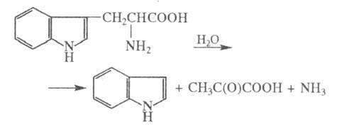 https://www.pora.ru/image/encyclopedia/6/1/6/14616.jpeg