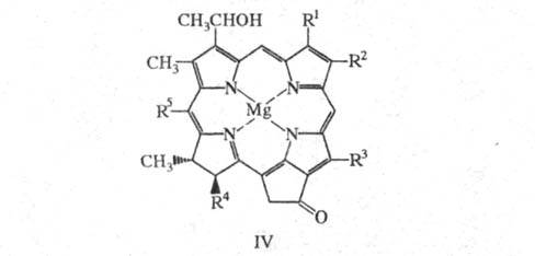 https://www.pora.ru/image/encyclopedia/6/1/7/16617.jpeg