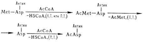 https://www.pora.ru/image/encyclopedia/6/1/9/8619.jpeg