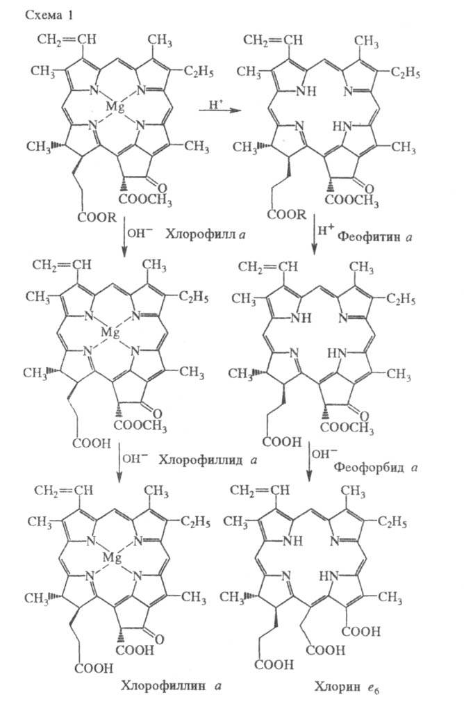 https://www.pora.ru/image/encyclopedia/6/2/1/16621.jpeg