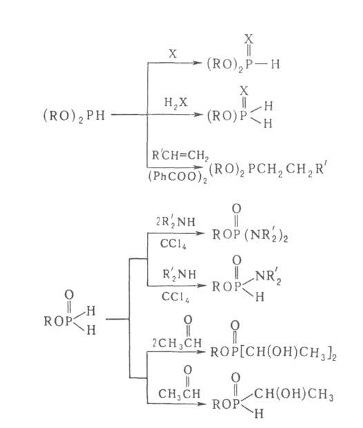 https://www.pora.ru/image/encyclopedia/6/2/1/5621.jpeg