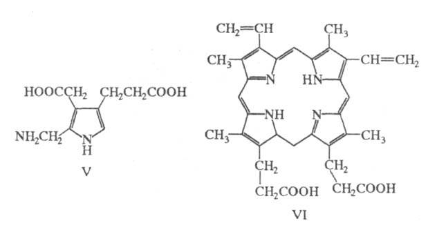 https://www.pora.ru/image/encyclopedia/6/2/2/16622.jpeg