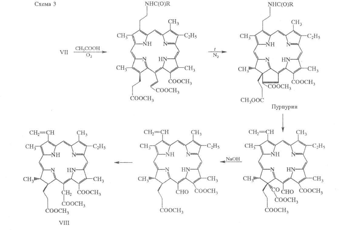 https://www.pora.ru/image/encyclopedia/6/2/4/16624.jpeg