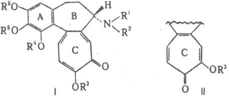 https://www.pora.ru/image/encyclopedia/6/3/2/7632.jpeg