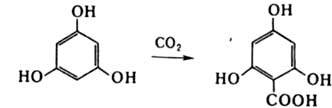 https://www.pora.ru/image/encyclopedia/6/3/7/7637.jpeg