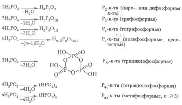 https://www.pora.ru/image/encyclopedia/6/3/9/15639.jpeg