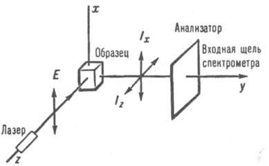 https://www.pora.ru/image/encyclopedia/6/4/6/7646.jpeg