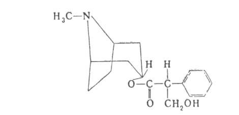 https://www.pora.ru/image/encyclopedia/6/5/2/2652.jpeg