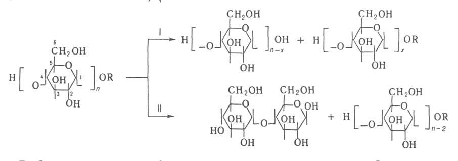 https://www.pora.ru/image/encyclopedia/6/5/9/5659.jpeg