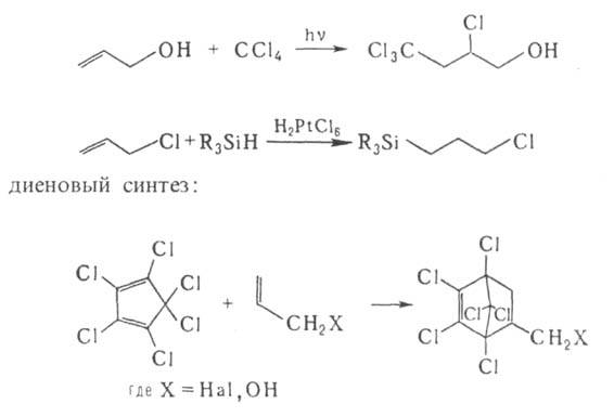 https://www.pora.ru/image/encyclopedia/6/6/2/1662.jpeg