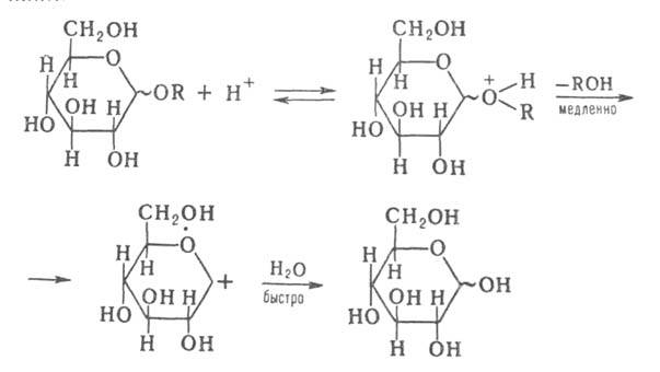 https://www.pora.ru/image/encyclopedia/6/6/7/5667.jpeg