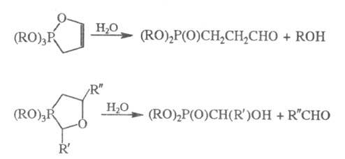 https://www.pora.ru/image/encyclopedia/6/6/9/15669.jpeg