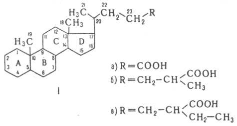 https://www.pora.ru/image/encyclopedia/6/7/2/6672.jpeg