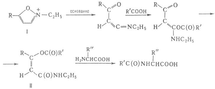 https://www.pora.ru/image/encyclopedia/6/7/3/4673.jpeg