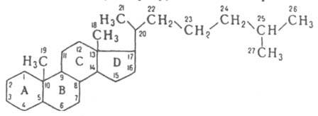 https://www.pora.ru/image/encyclopedia/6/7/9/6679.jpeg