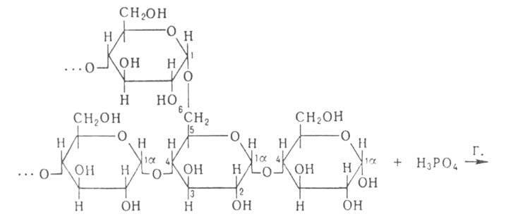 https://www.pora.ru/image/encyclopedia/6/8/2/5682.jpeg