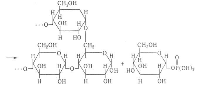 https://www.pora.ru/image/encyclopedia/6/8/3/5683.jpeg