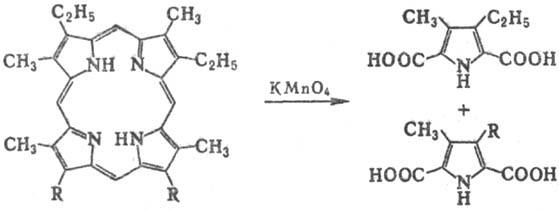 https://www.pora.ru/image/encyclopedia/6/9/7/11697.jpeg