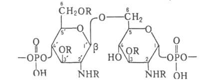 https://www.pora.ru/image/encyclopedia/6/9/9/5699.jpeg