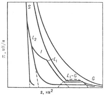 https://www.pora.ru/image/encyclopedia/7/0/4/8704.jpeg