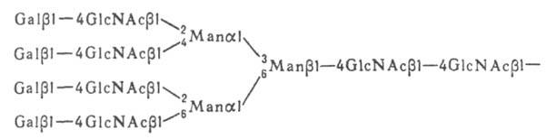 https://www.pora.ru/image/encyclopedia/7/0/9/5709.jpeg