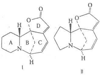 https://www.pora.ru/image/encyclopedia/7/1/1/12711.jpeg